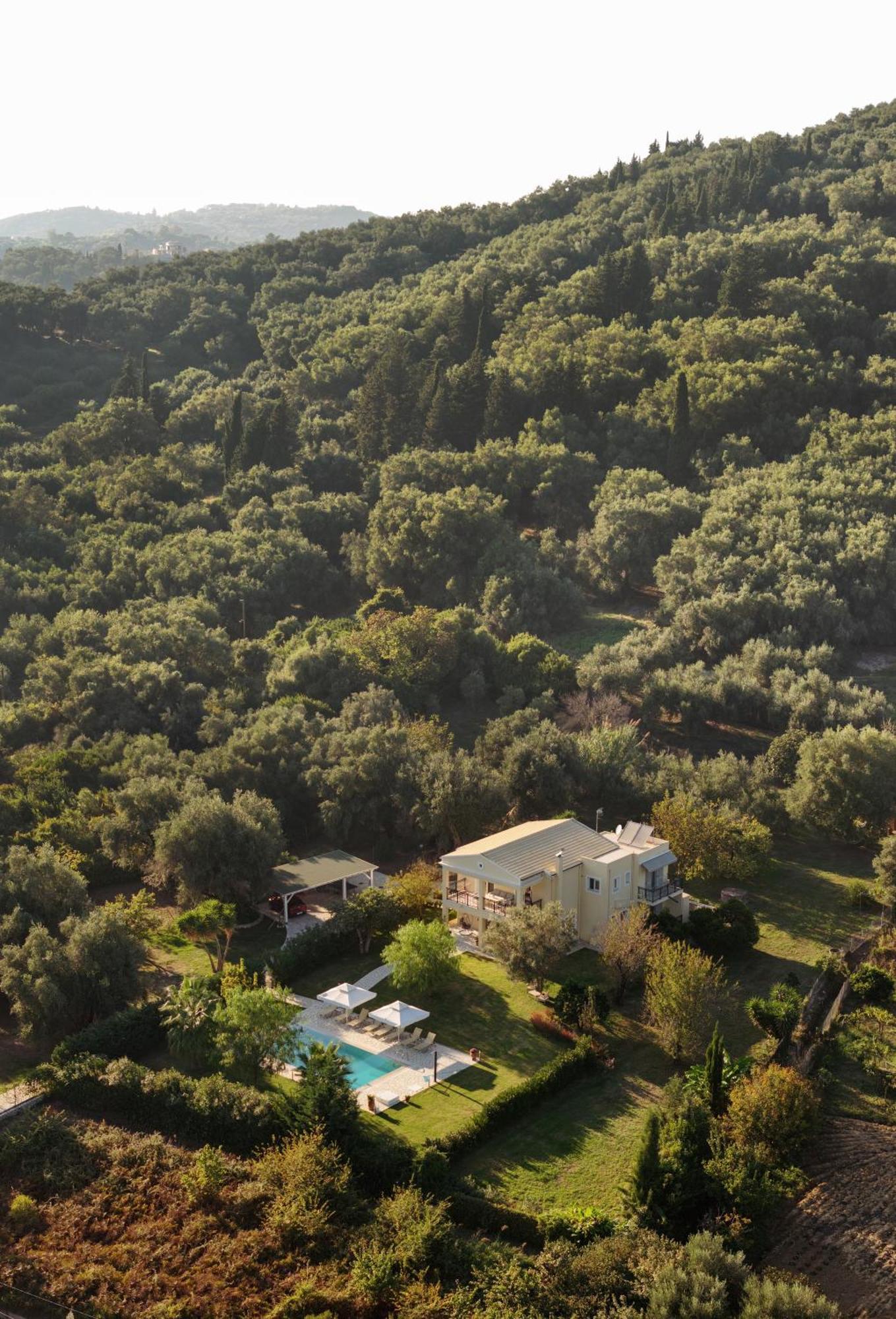 Villa Stefania Agios Georgios Pagon Eksteriør billede